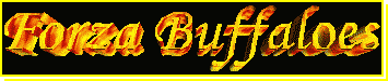 Forza! Buffaloes Title Logo