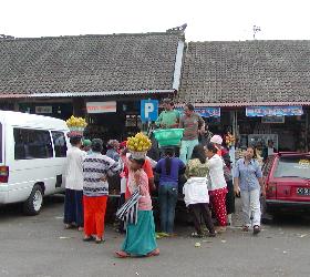 Bedugul��Pasar(�s��)����2