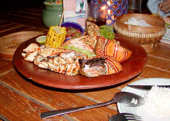 �傫�ȑ傫�ȃ��u�X�^�[