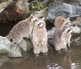 �Ȃ����݂�ȁA�����Ă܂��B