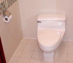 KL�̃z�e���̃g�C��