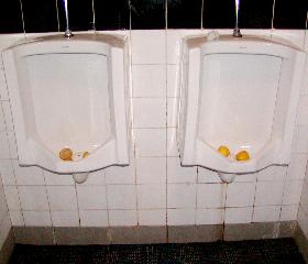 LRT�w�̒j�����p�֊�