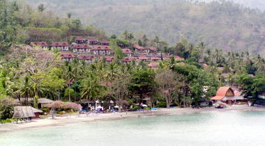 Pura 4