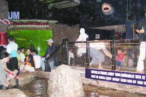 Sea World Indonesia