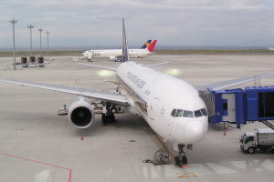 Singapore Airline