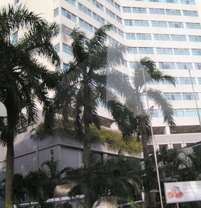 New Park Hotel, Singapore