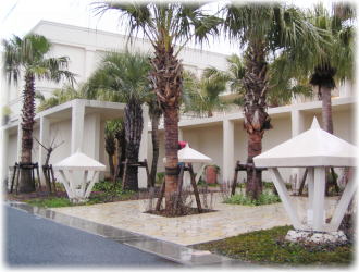 Le Grand Mirage�O��