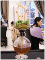 �����̈�i�F���т̃X�[�v