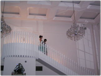 ���F�����̌��...